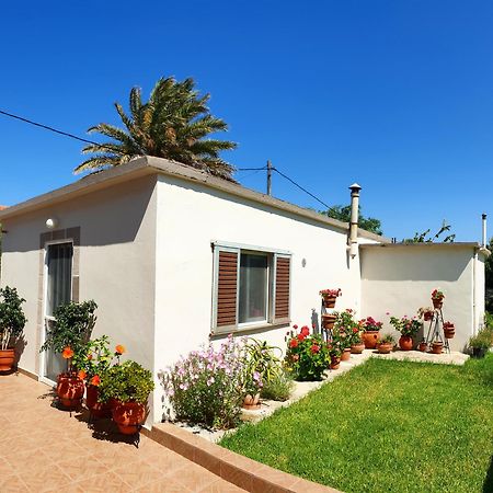 Repanidi Apartment D / Ρεπανίδι Διαμέρισμα Δ Repanidhion Экстерьер фото