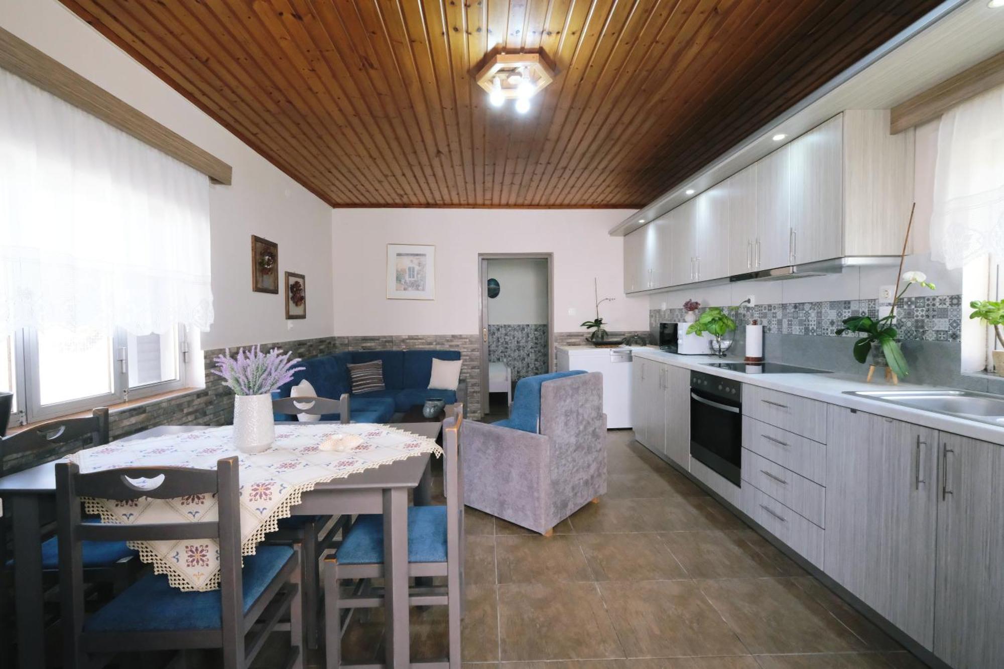 Repanidi Apartment D / Ρεπανίδι Διαμέρισμα Δ Repanidhion Экстерьер фото