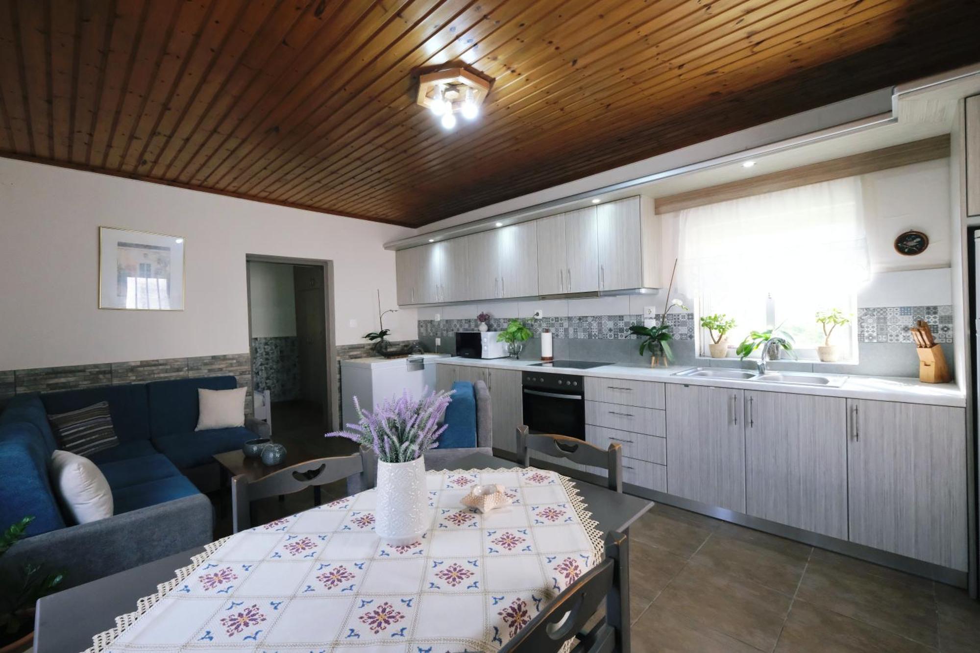Repanidi Apartment D / Ρεπανίδι Διαμέρισμα Δ Repanidhion Экстерьер фото