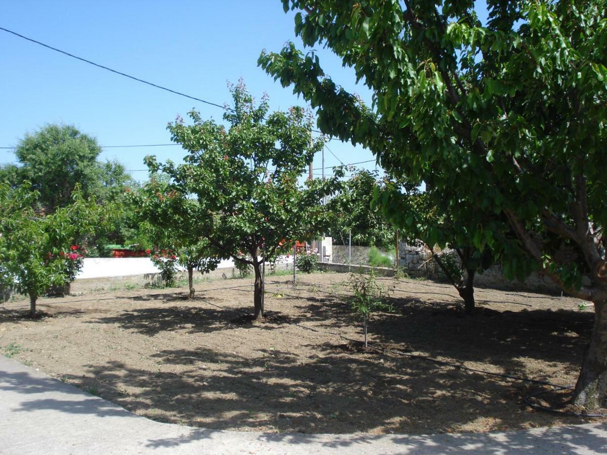 Repanidi Apartment D / Ρεπανίδι Διαμέρισμα Δ Repanidhion Экстерьер фото